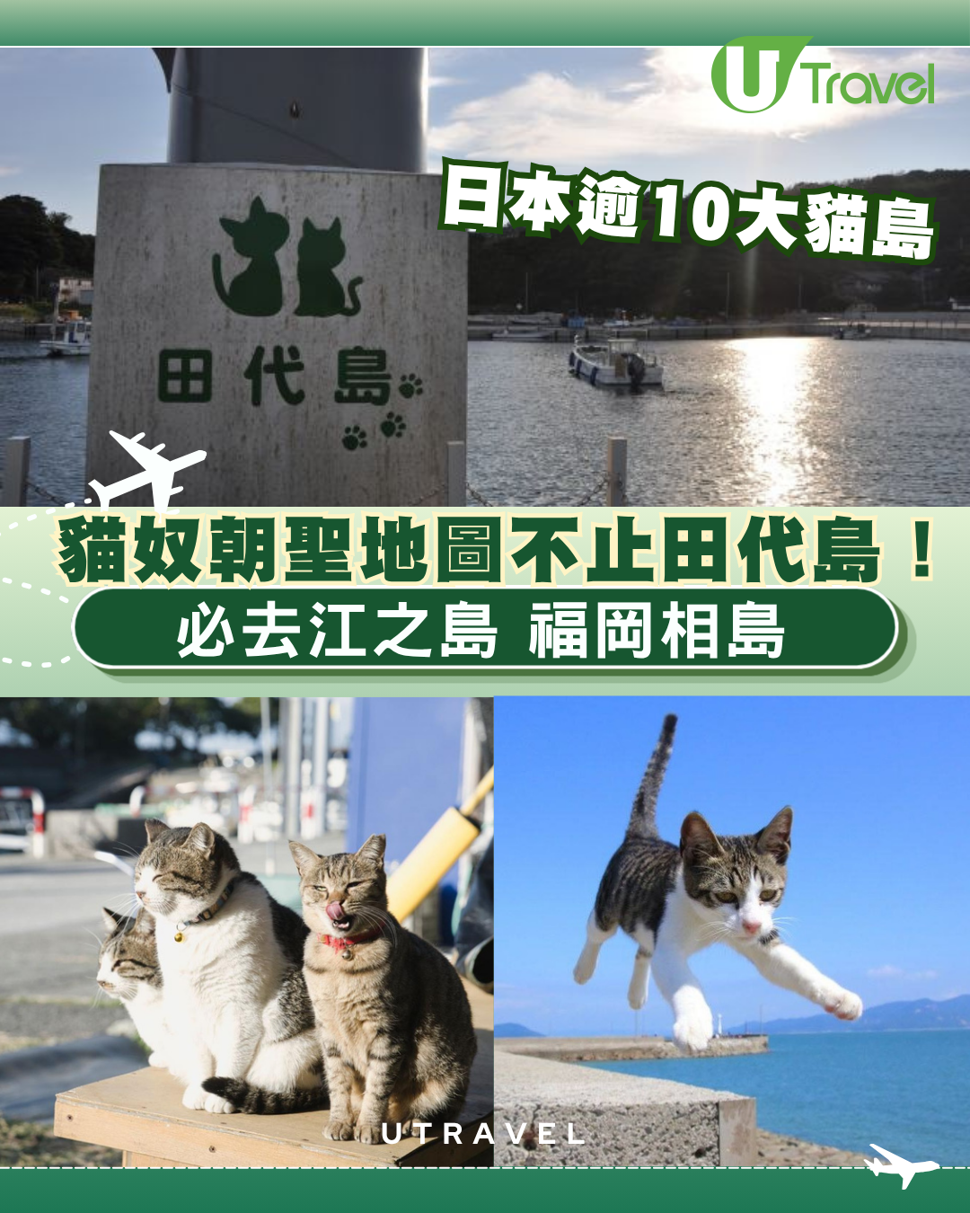 【日本貓島】貓奴朝聖地圖不止田代島！日本逾10大貓島必去江之島/福岡相島