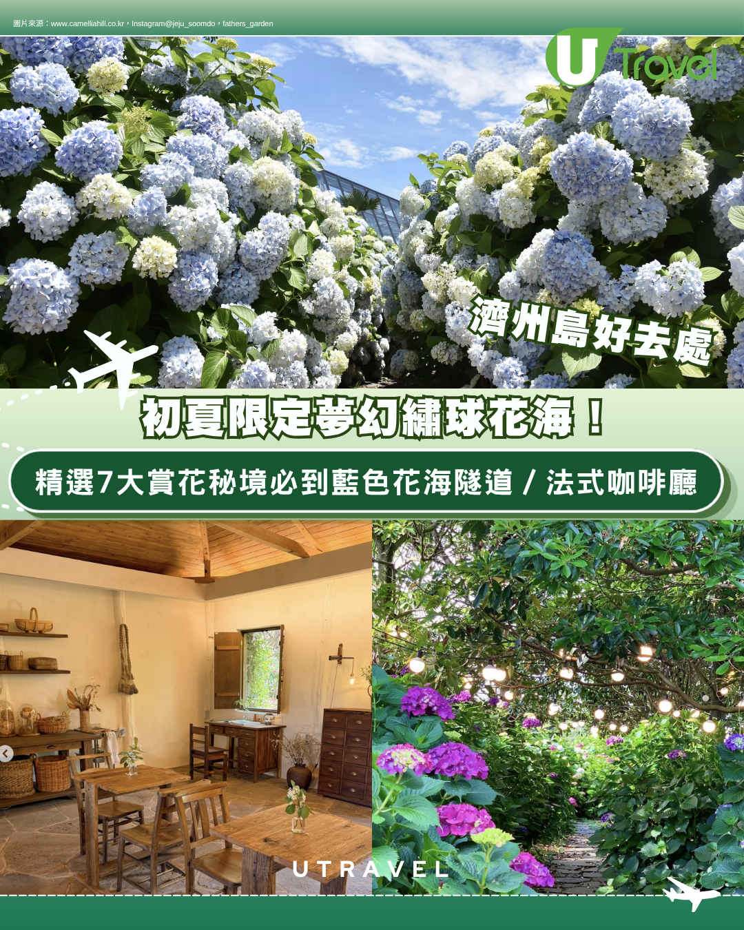 濟州島好去處｜初夏限定夢幻繡球花海！精選7大賞花秘境必到藍色花海隧道、法式咖啡廳