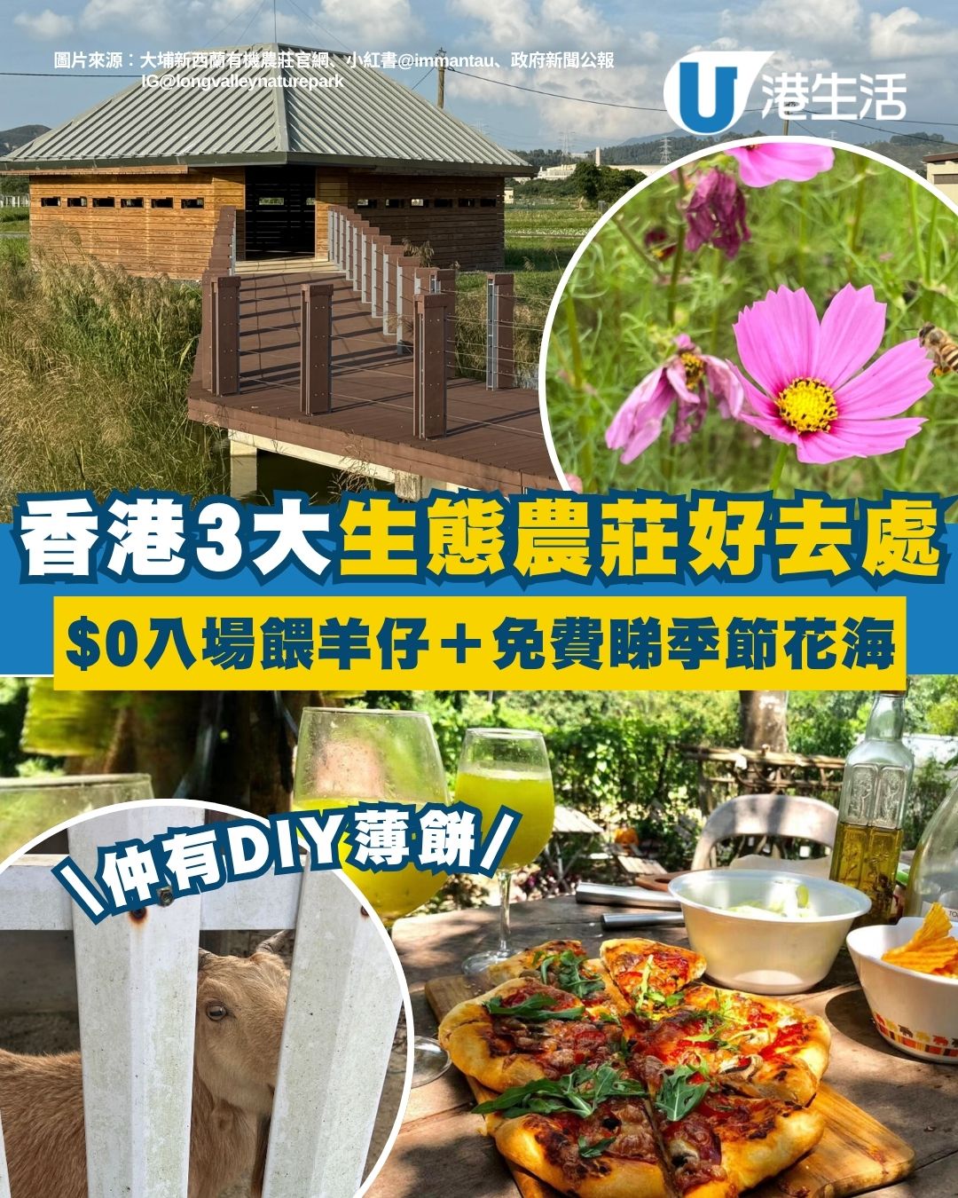香港大自然秘境｜3大自然生態好去處推介 $0入場餵小羊/免費看荷花海/親摘鮮蔬製香脆薄餅！（附交通攻略）