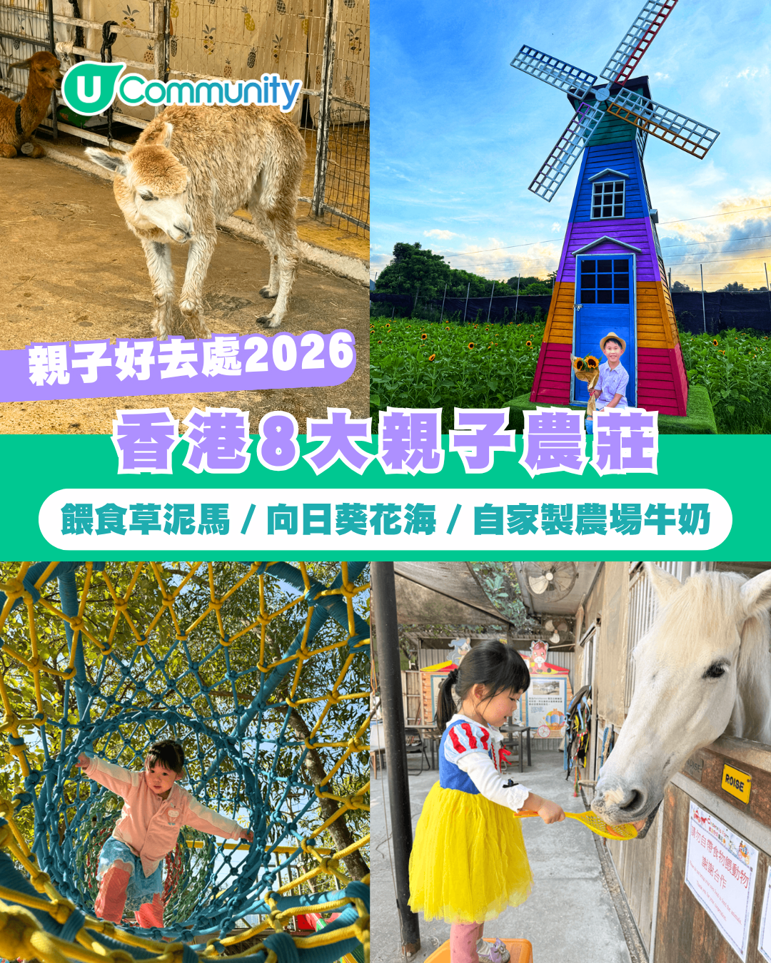 【親子好去處2026】香港8大親子農莊 餵食草泥馬／向日葵花海／自家製農場牛奶