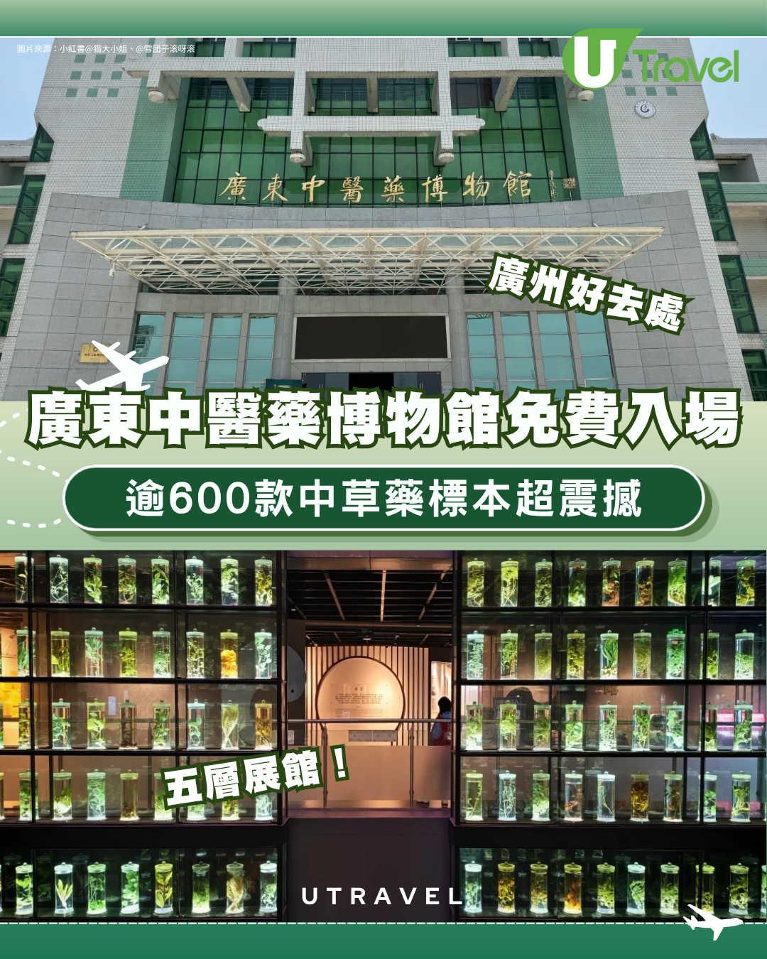 廣州好去處｜廣東中醫藥博物館免費入場！600+中草藥標本超震撼＋五層展館慢遊指南