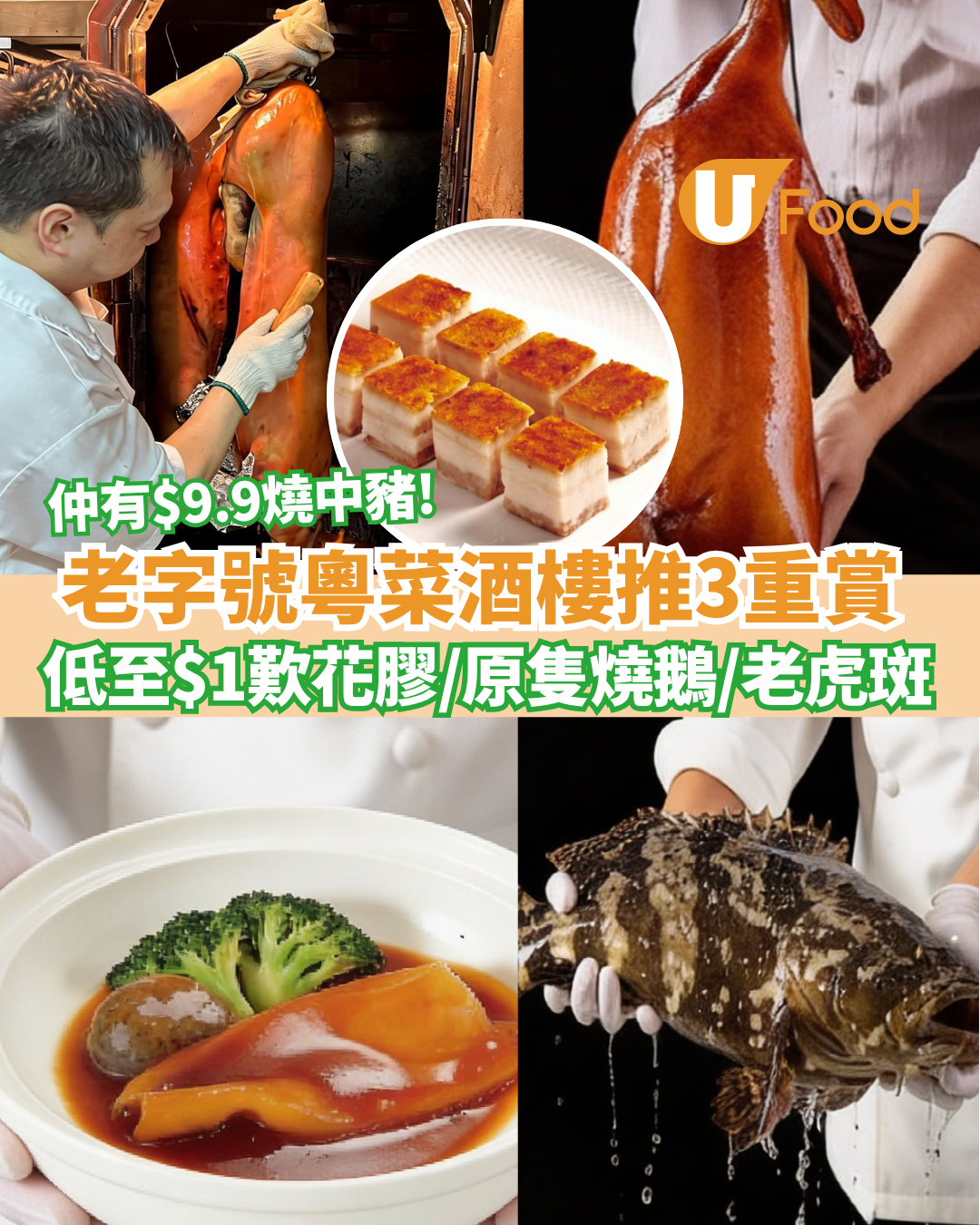 酒樓優惠｜老字號粵菜酒樓推3重賞  低至$1歎鮑汁花膠/原隻燒鵝皇/清蒸金邊老虎斑、$9.9 燒中豬、$19.8乾炒牛河