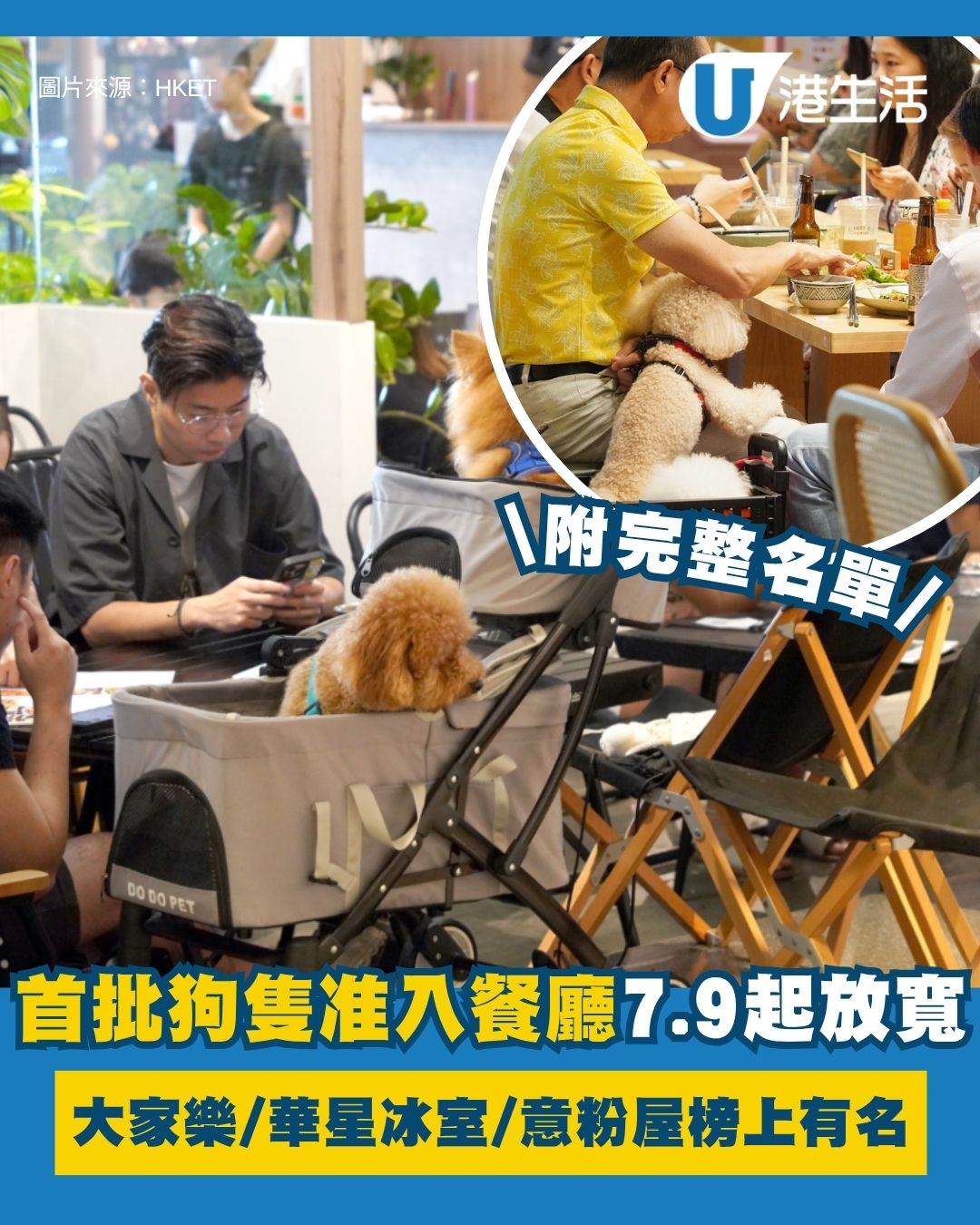 狗食肆名單︱全港首批狗隻准入餐廳7.9起陸續放寬 大家樂/華星冰室/意粉屋榜上有名！