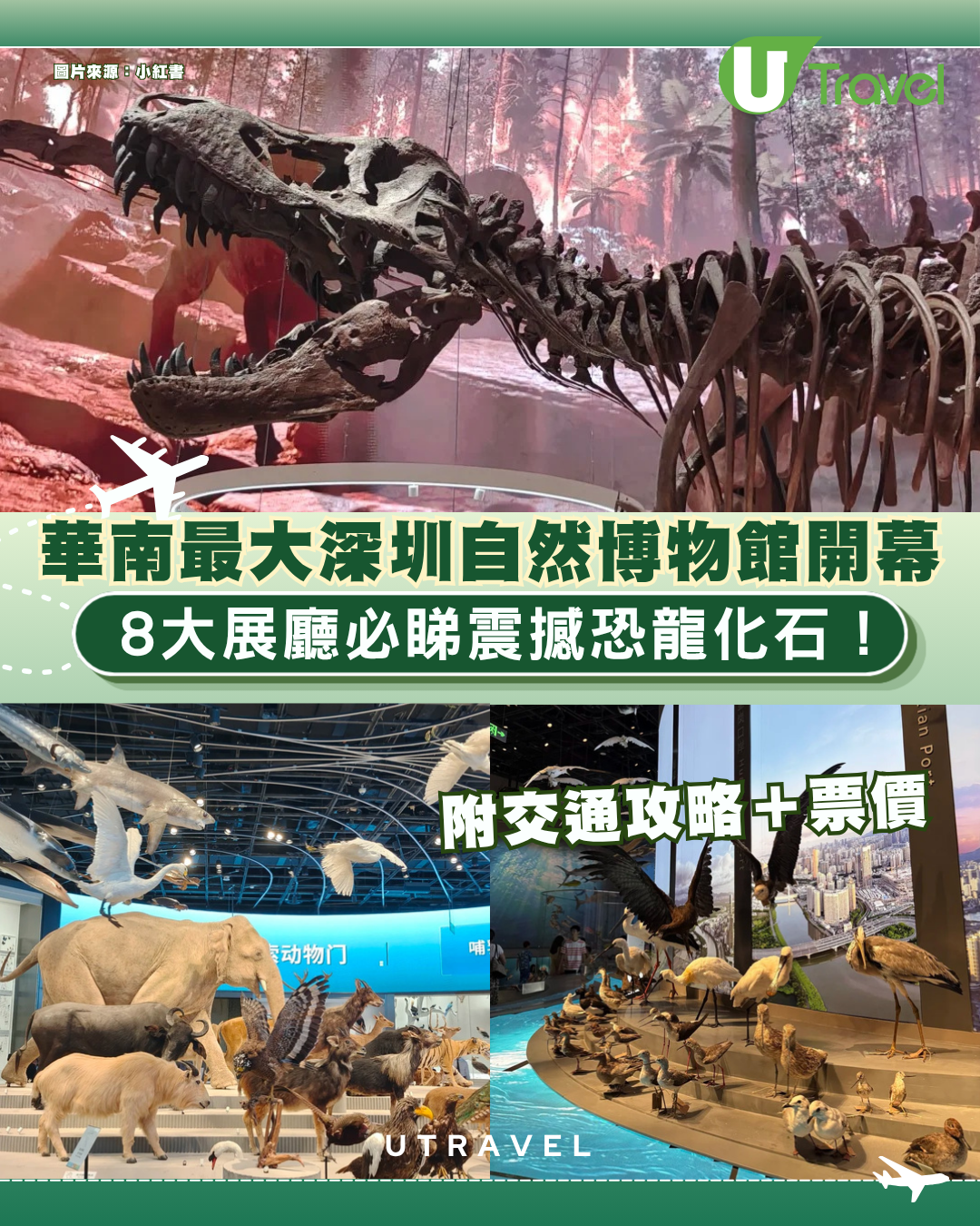 深圳新好去處！華南最大深圳自然博物館開幕 8大展廳震撼恐龍化石 附交通攻略＋票價