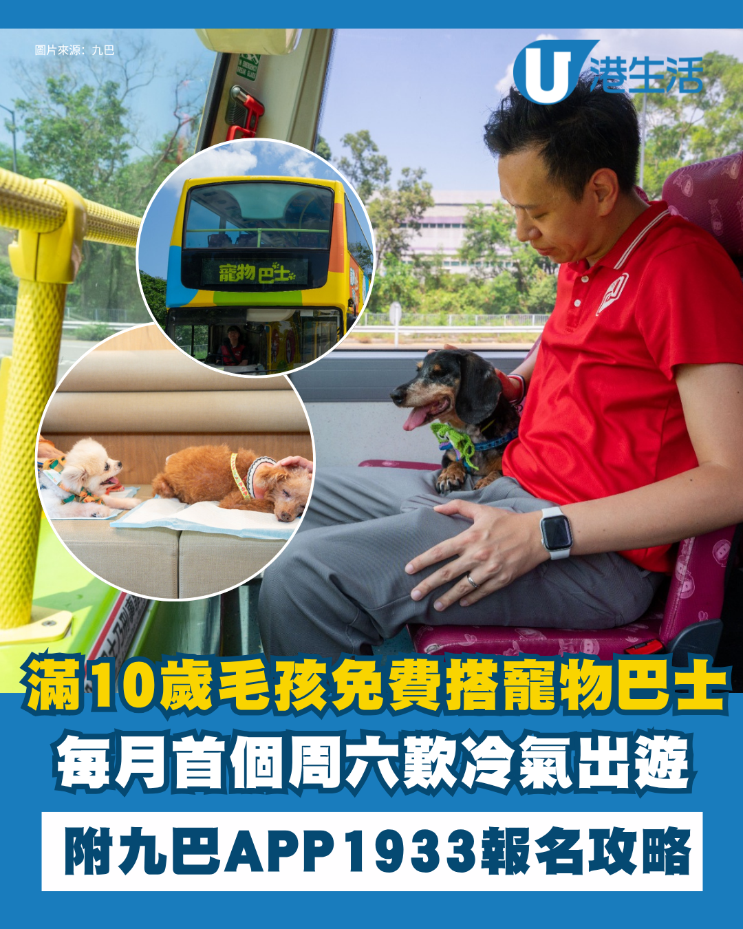  九巴寵物巴士｜年滿10歲毛孩免費搭！每月首個周六出遊&5條專屬路線 附APP1933報名攻略