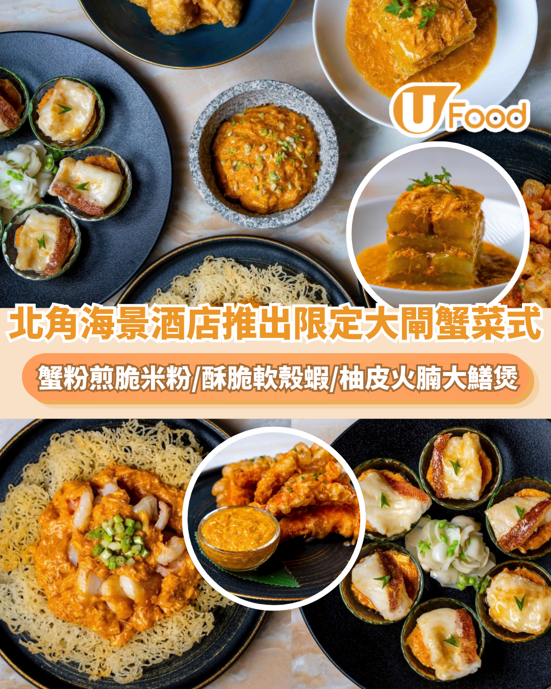 北角海景酒店推出限定大閘蟹菜式！必食蟹粉煎脆米粉/酥脆軟殼蝦/柚皮火腩大鱔煲