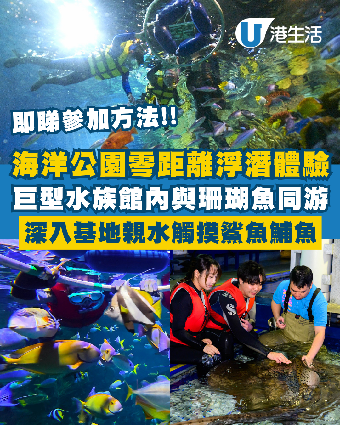 香港海洋公園零距離浮潛體驗！水中與珊瑚魚同游+親手觸摸鯊魚與鯆魚！附參加方法