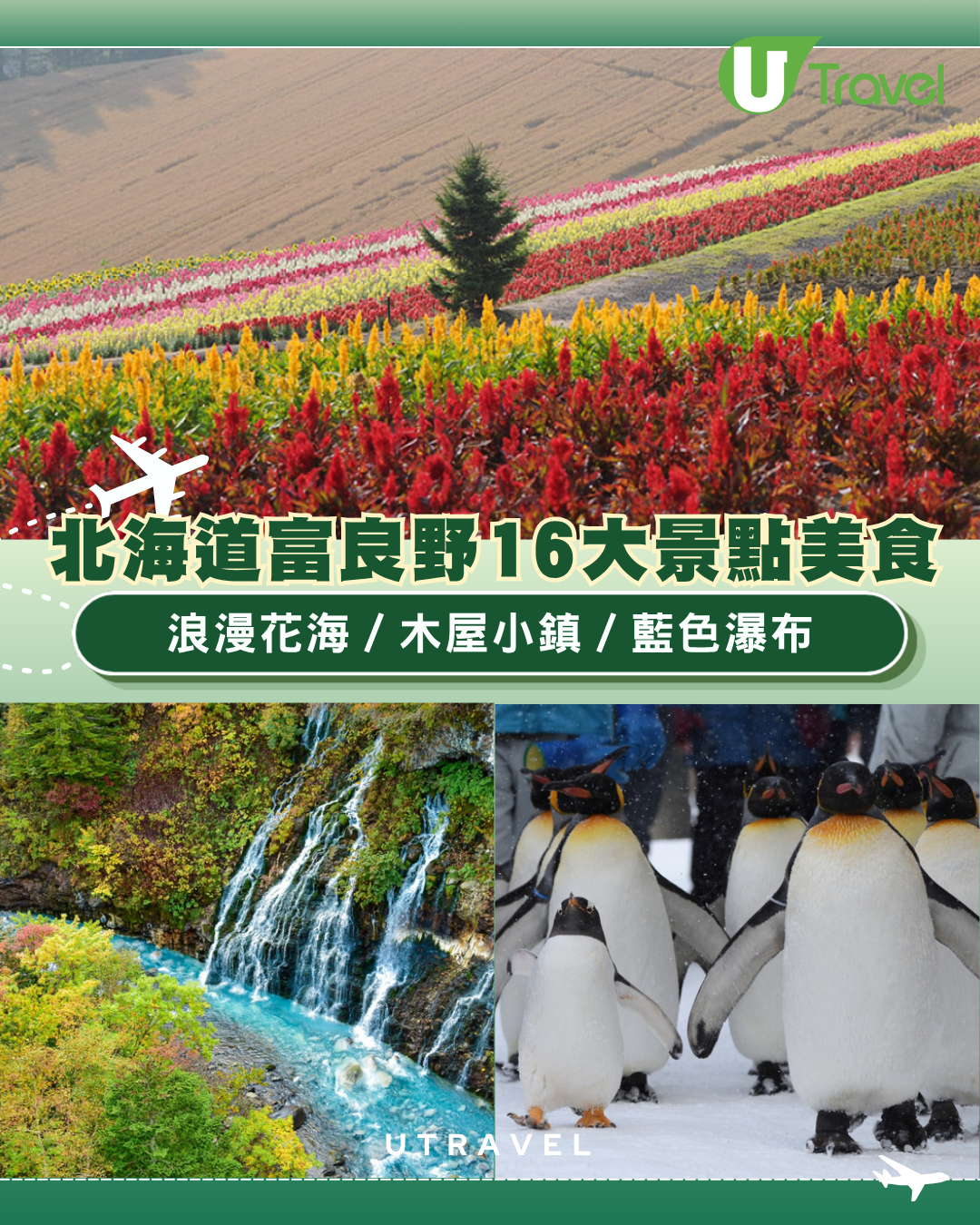 北海道富良野自由行景點+美食推介！必睇浪漫花海、木屋小鎮、藍色瀑布