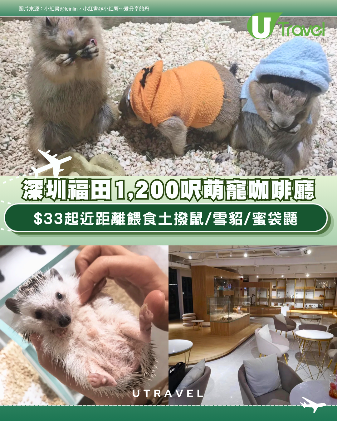 深圳福田1,200呎萌寵咖啡廳 $33起近距離餵食土撥鼠/雪貂/蜜袋鼯
