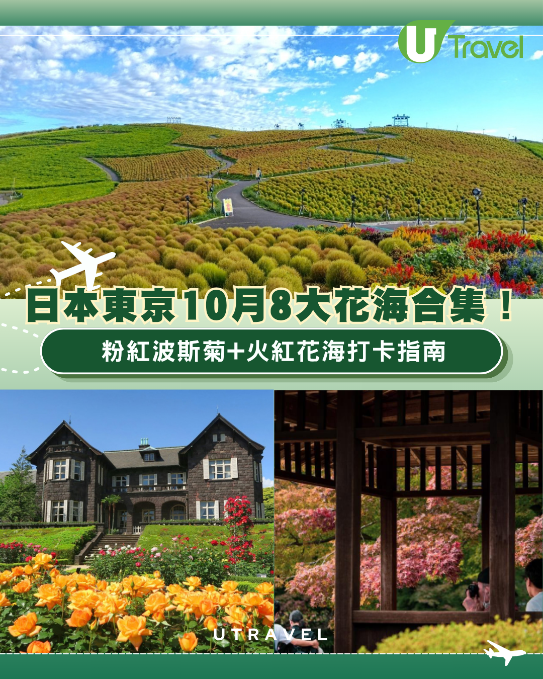 日本賞花自由行！東京10月8大花海合集 粉紅波斯菊+火紅花海打卡指南