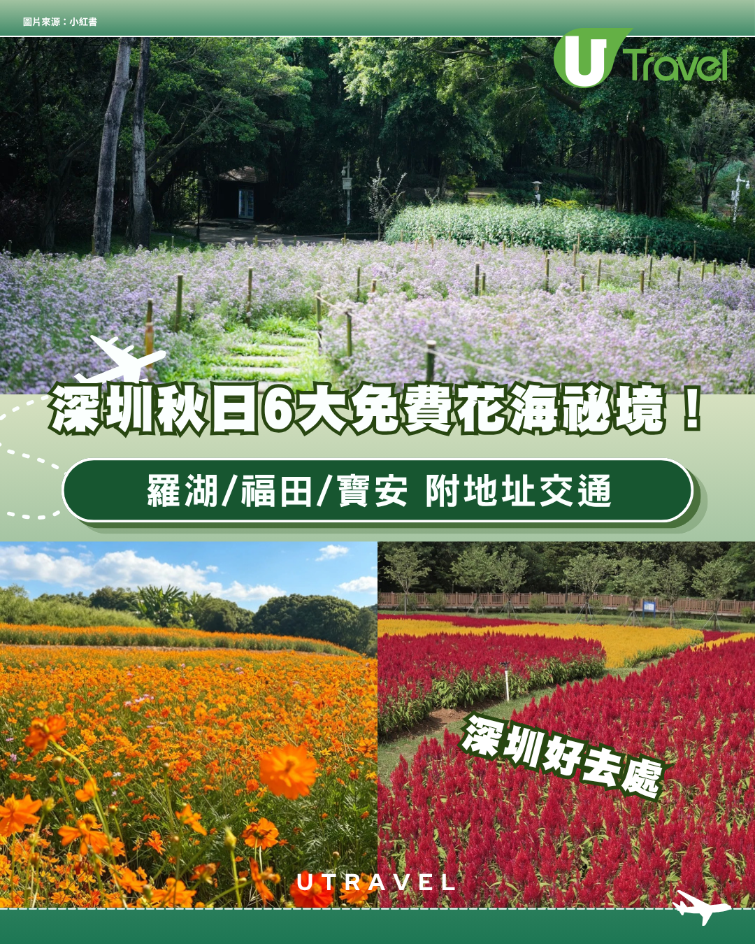 深圳秋日賞花好去處！羅湖/福田/寶安免費花海秘境6大推介！附地址交通