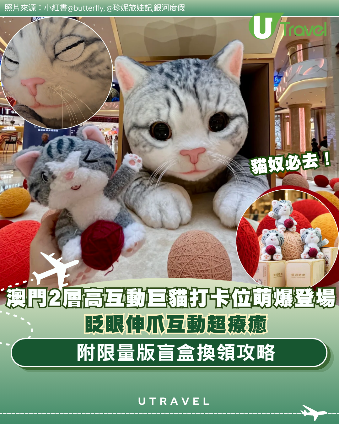 貓奴必去！澳門2層高互動巨貓打卡位萌爆登場 眨眼伸爪互動超療癒 附限量版盲盒換領攻略
