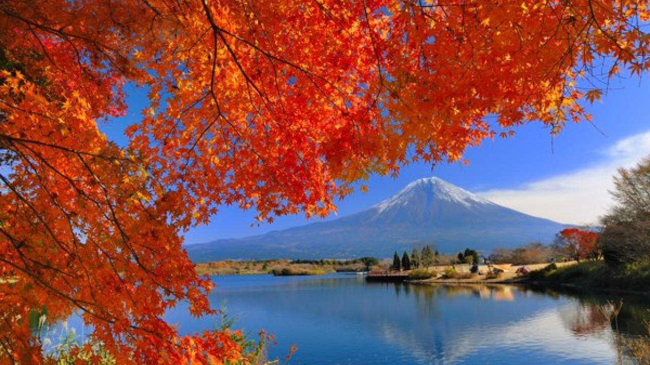 日本富士山超抵一日遊優惠 $286去河口湖賞楓+Outlet購物