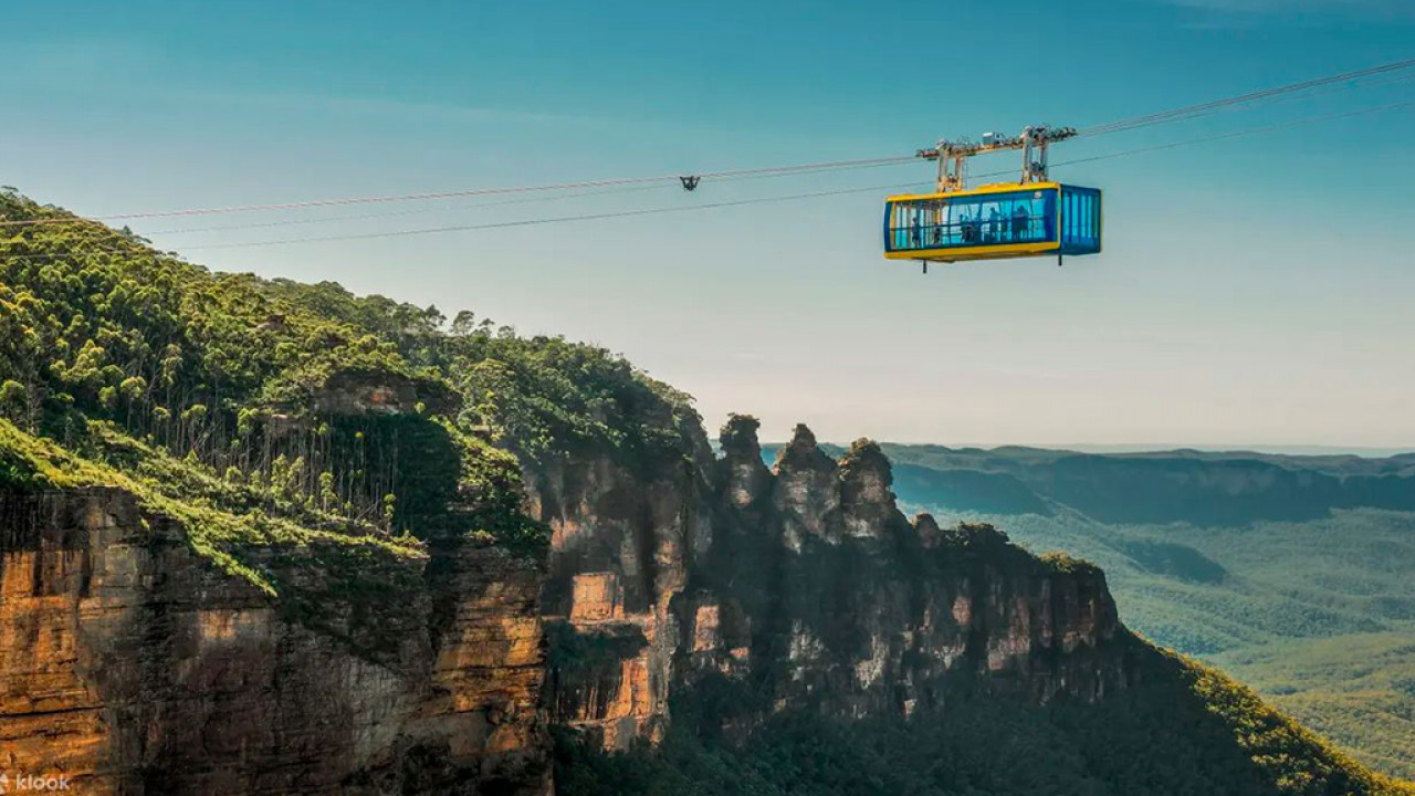 悉尼近郊藍山一日遊行程推薦 360度峽谷絕景/森林纜車/近距離餵袋鼠