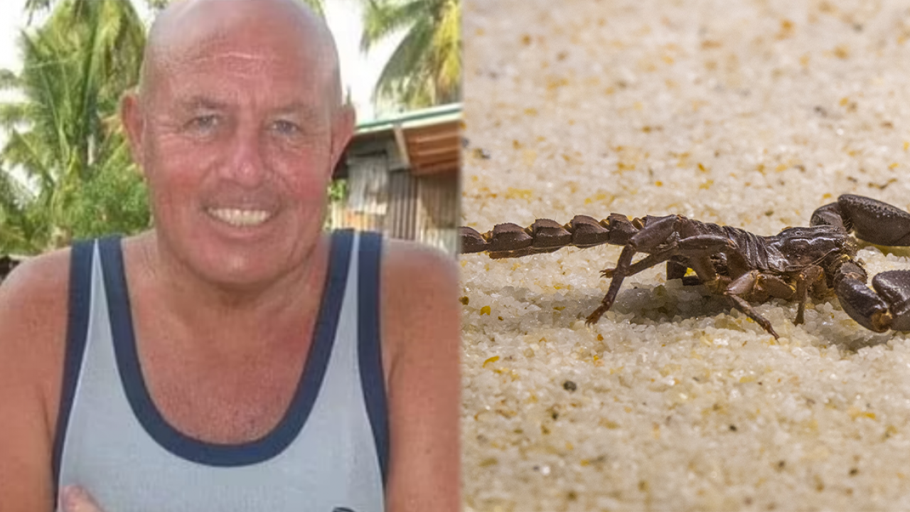 英國泰國旅友遭蠍子咬傷 後果不堪設想 須截肢保命