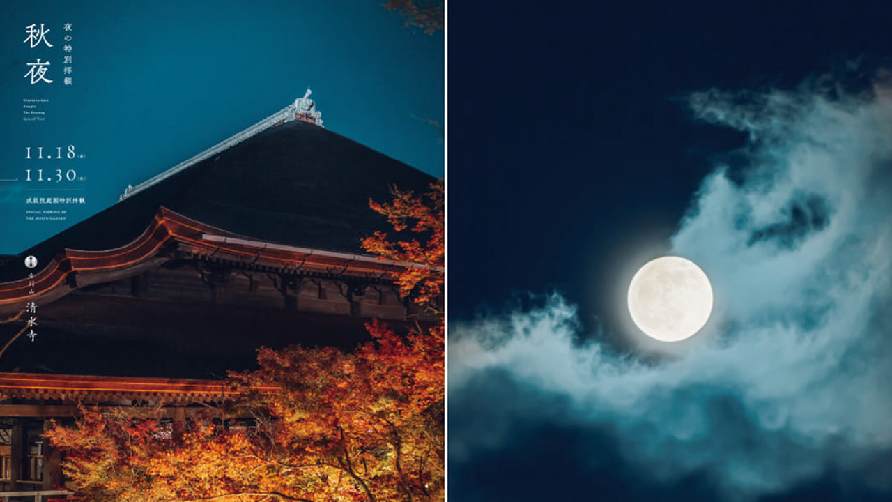 2022日本紅葉 | 京都清水寺夜間特別參拜重開 古蹟下賞絕美夜楓！點燈時間+收費