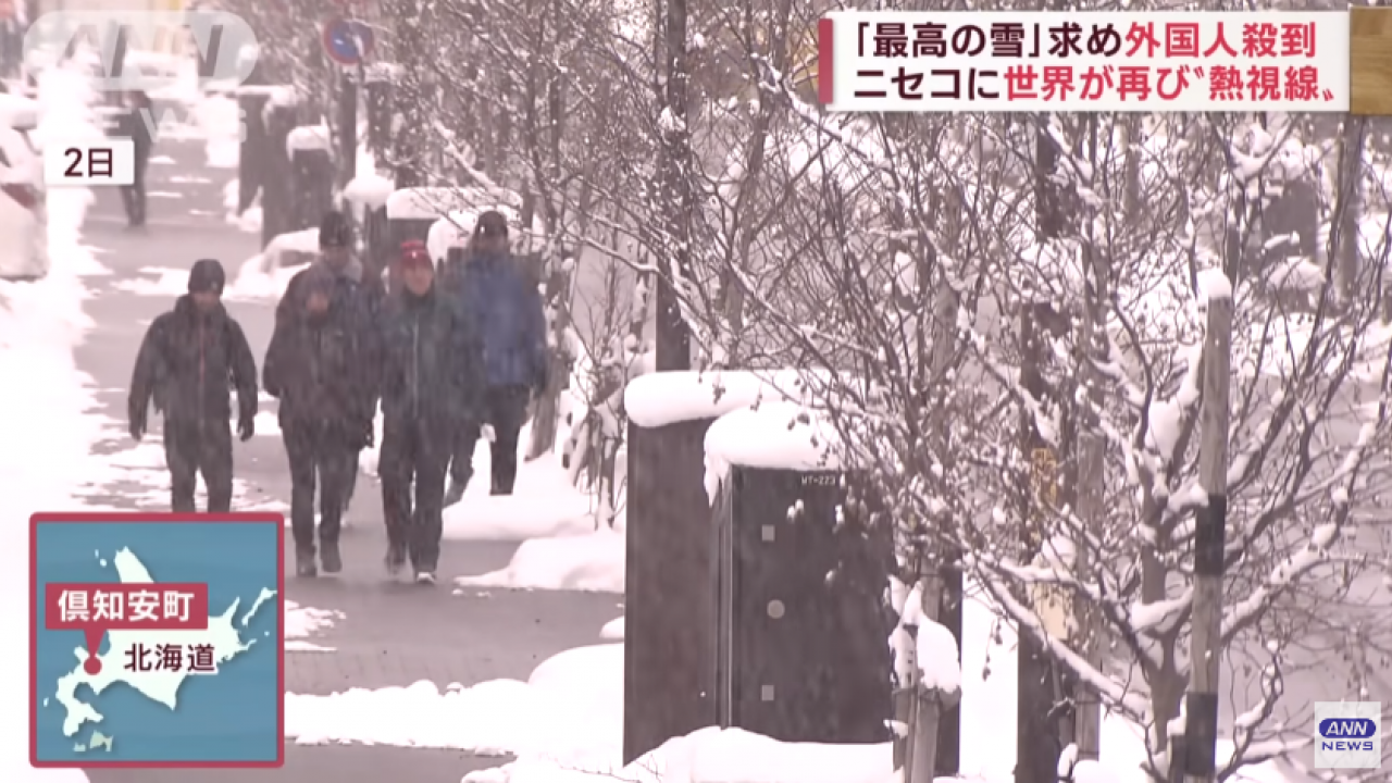 北海道擁全球最佳粉雪「JAPOW」 法國旅客親身揭一招分辨靚雪