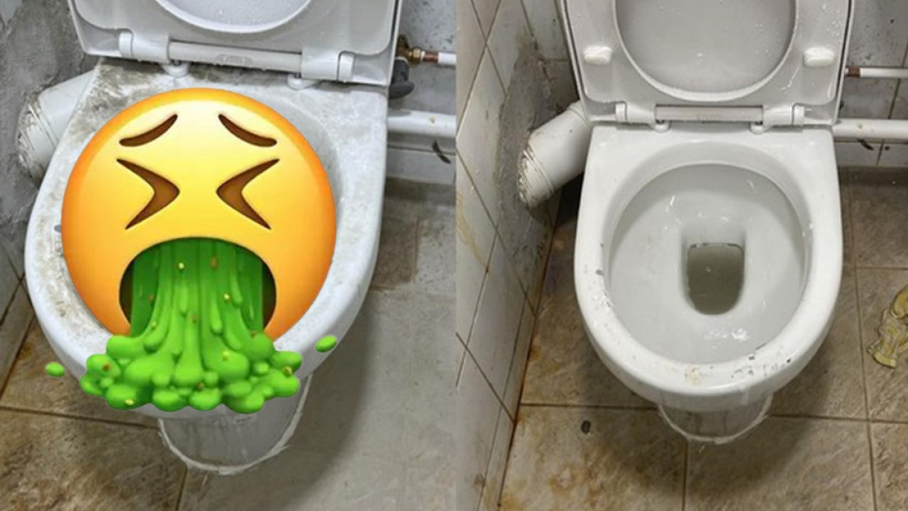 網民分享$22洗馬桶神器！廁所變「兇案現場」尿漬濺上牆、千年尿垢都清到？