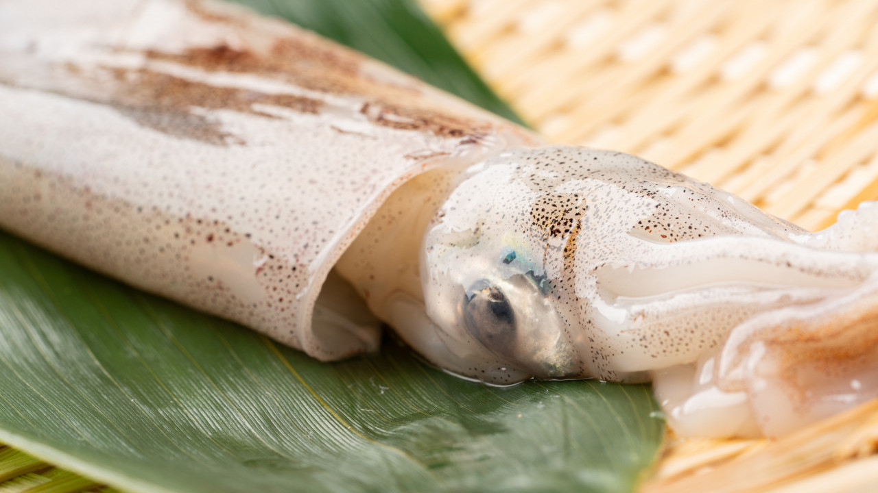 南韓64歲婦人進食未熟魷魚 精子湧出鑽入口腔出現劇痛