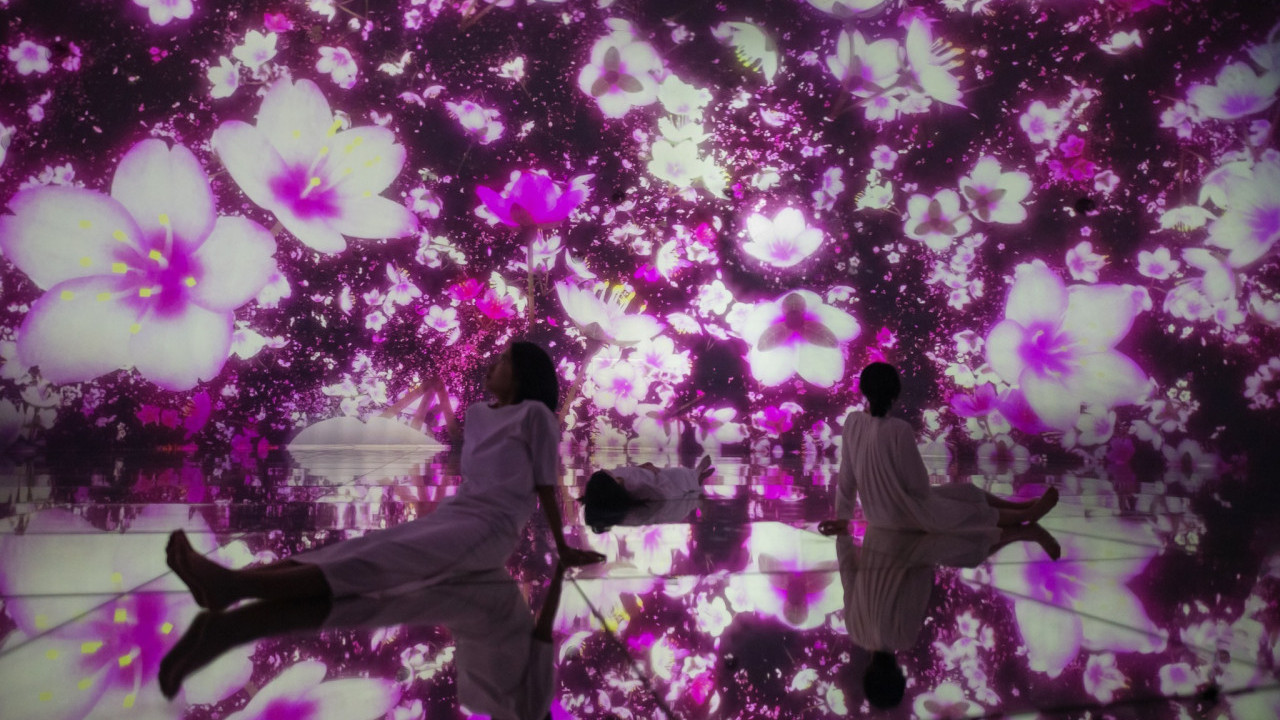 東京teamLab3月春季限定櫻花展  2大巨型互動作品 走進櫻花夢幻世界