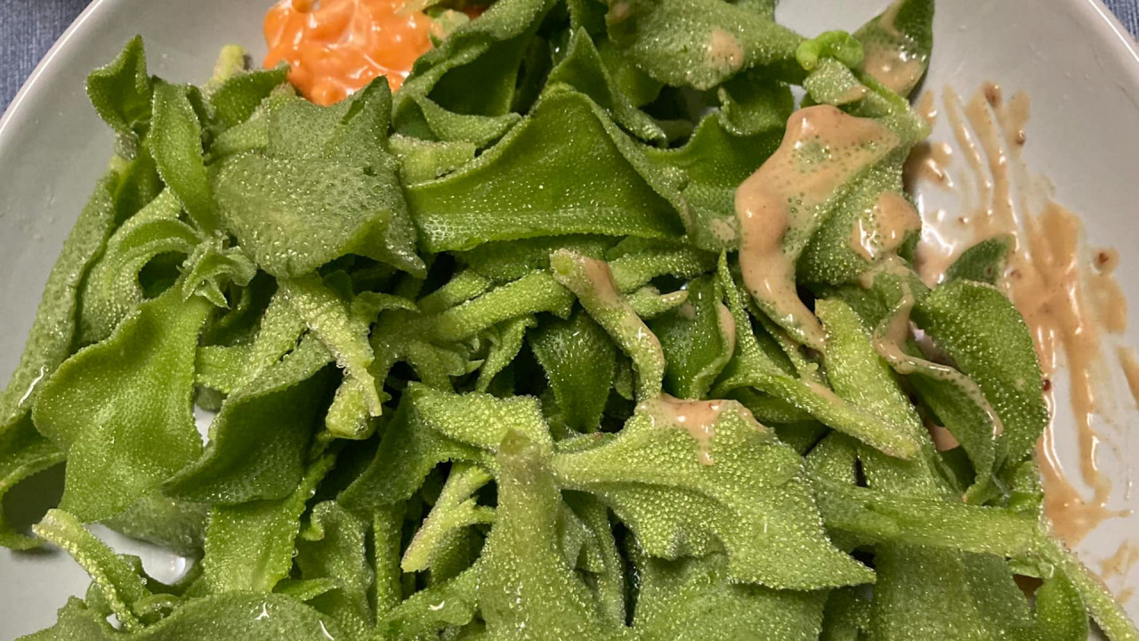 冰菜隱藏超肥美綠色蟲 逐片洗都沒察覺險吃下