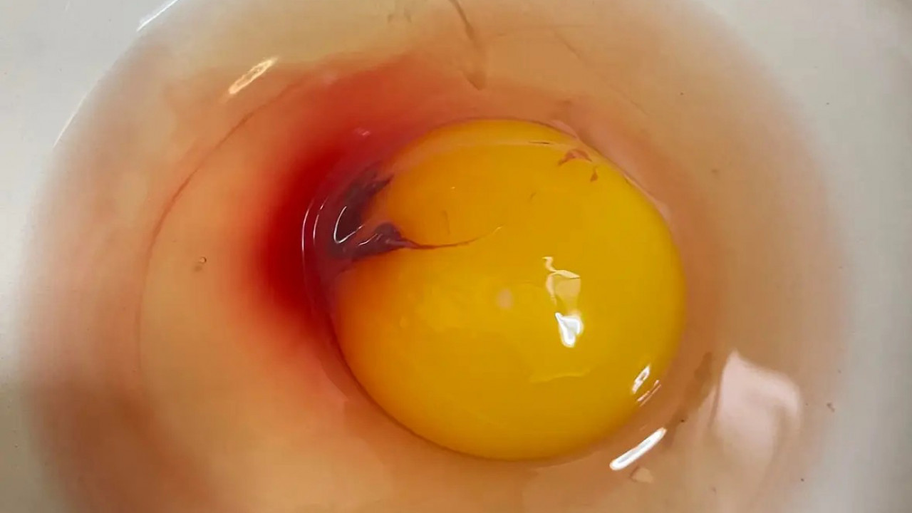 女子買染血雞蛋驚問「能吃嗎？」 內行網民揭真相：血斑蛋