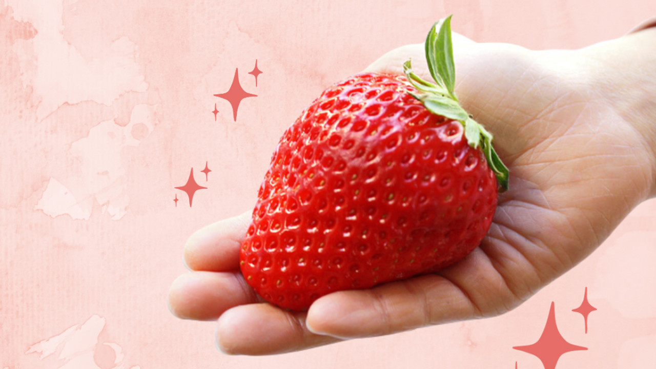 巨型士多啤梨寒熟 / 糖度 20 度 3 月限定！愛知縣農場直送 