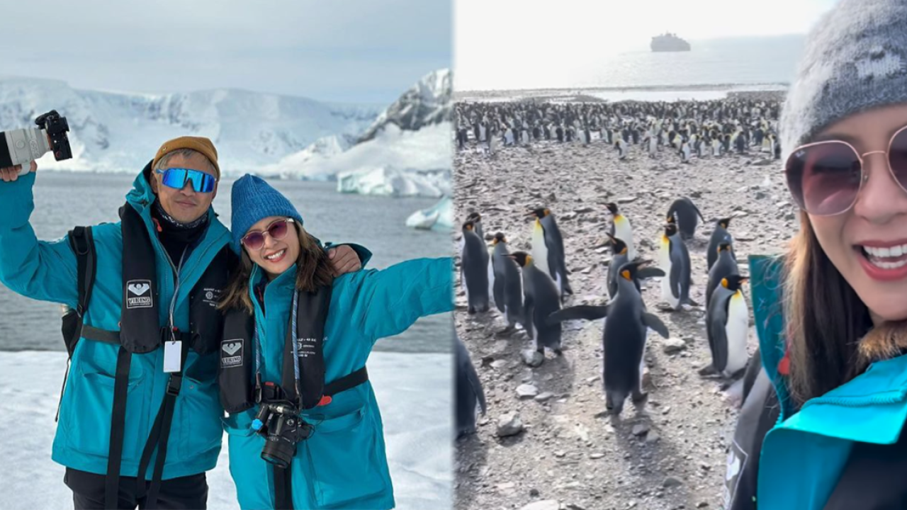 梁芷珮首踏南極終成功走勻全世界 著三點式下海！數十萬企鵝包圍超興奮
