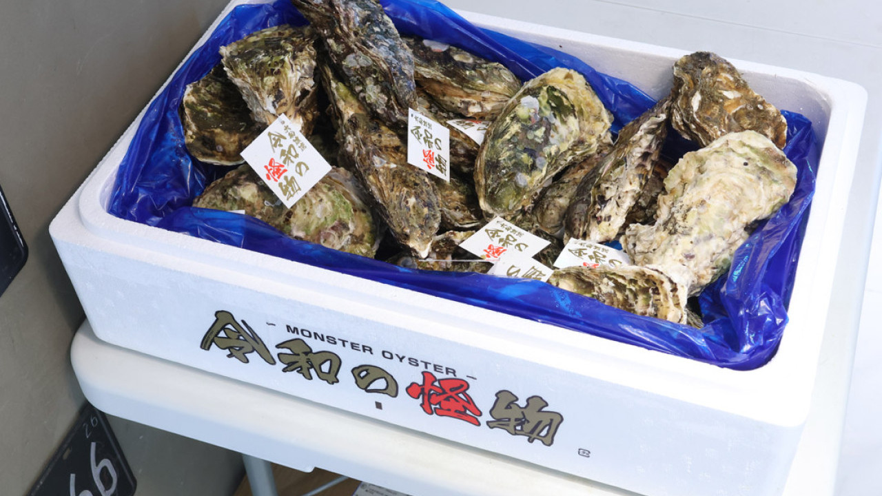 香港生蠔關注組元朗開舖  爆賣日本蠔相生之惠 / 獨家法國蠔