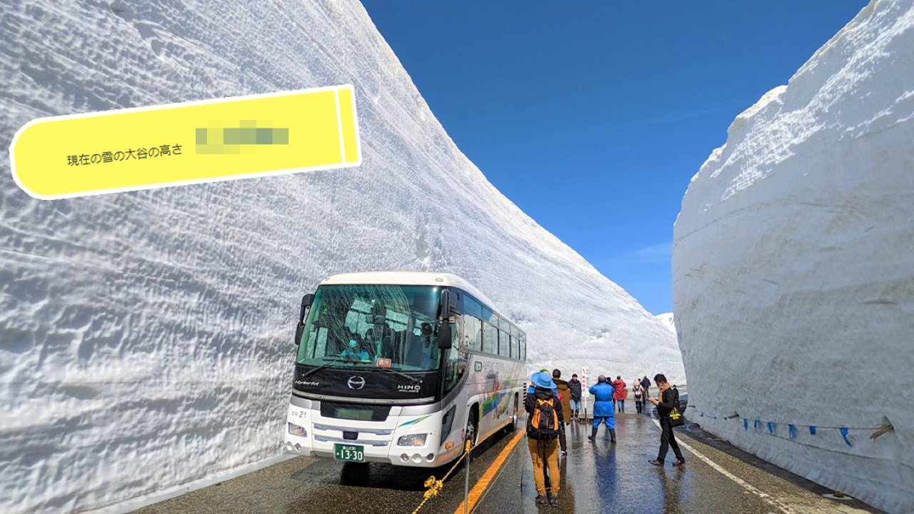 2023日本立山黑部雪牆大縮水  全因降雪量大減！打破30年來新低
