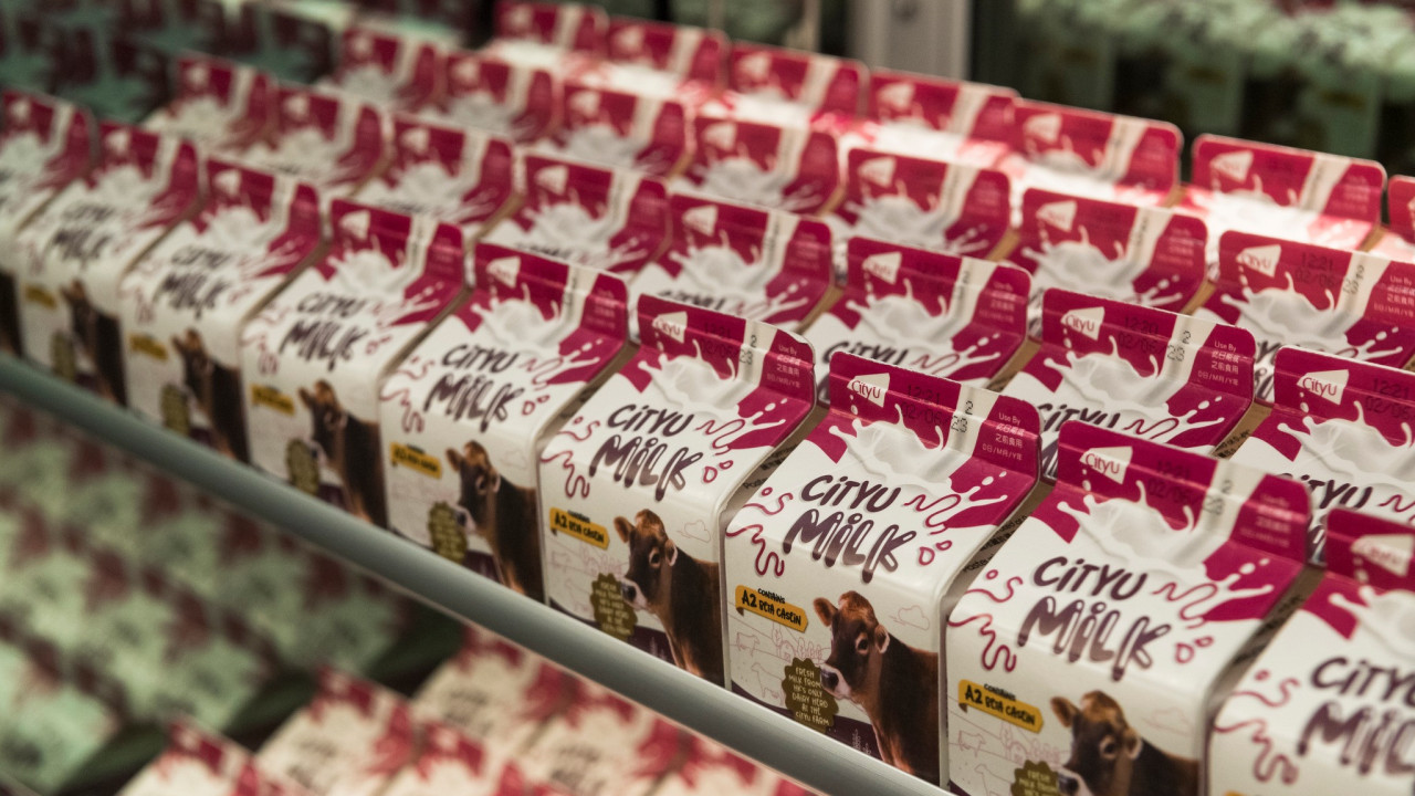 城大自家農場牛奶正式推出！　每盒$9／未來會推出自家製雪糕