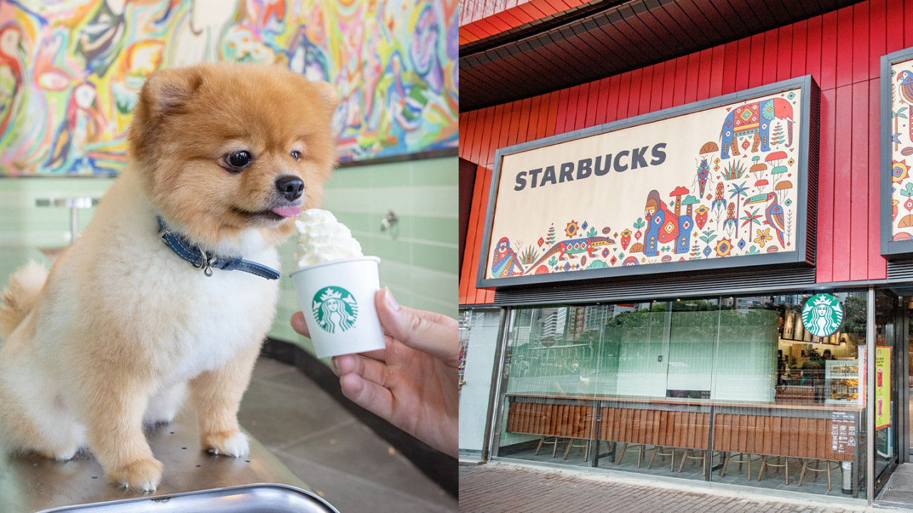  Starbucks全港首間寵物友善分店！特設戶外坐位專區/Puppuccino寵物專屬飲品