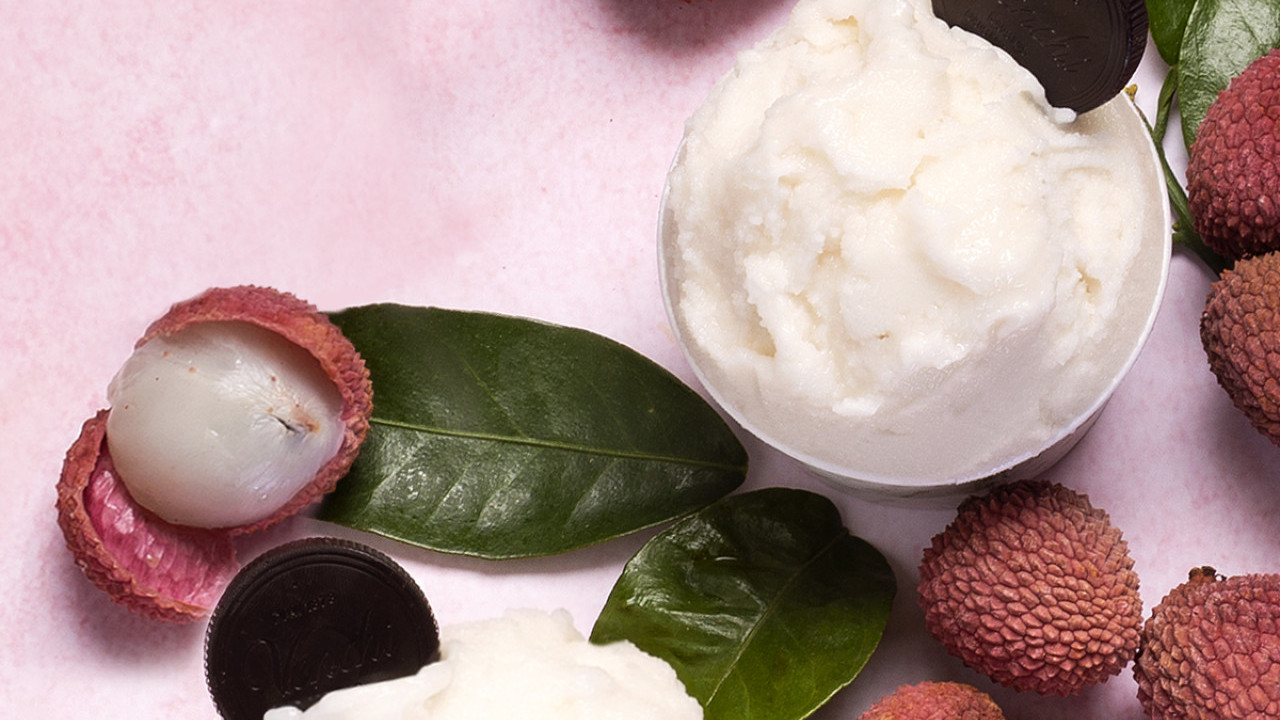 消暑一流！Venchi推出全新純素荔枝雪葩 清香火龍果雪葩同步登場