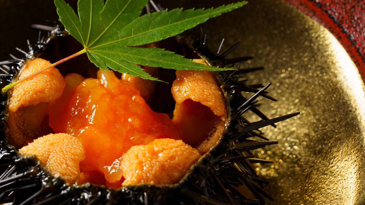 中環日式餐廳「ODDS」推出全新季節限定套餐「夏之饗宴」    北海道生海膽佐富山白蝦／燒津鰹魚／佐賀和牛壽喜燒