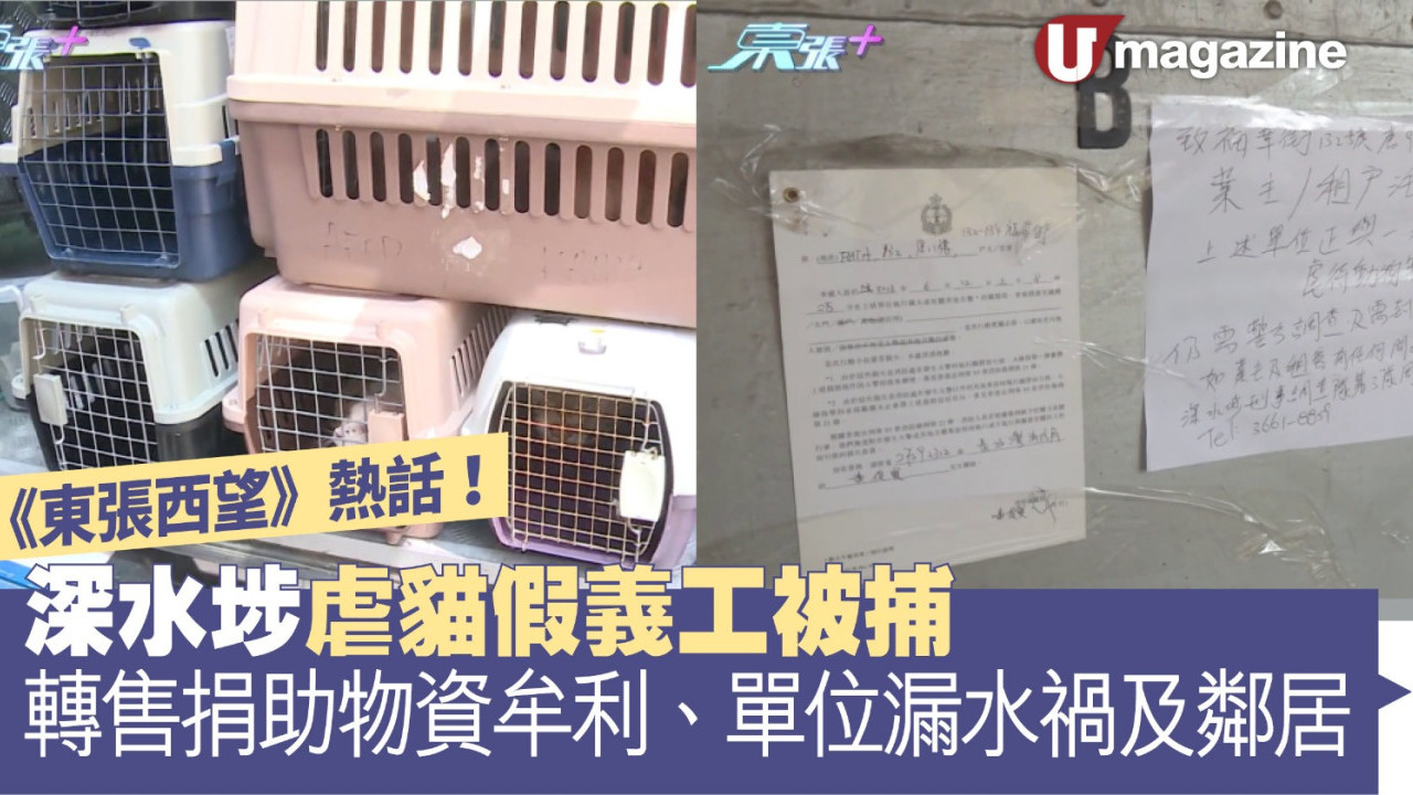 《東張西望》熱話   深水埗虐貓假義工被捕   轉售捐助物資牟利單位漏水禍及鄰居