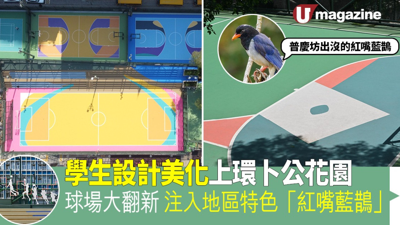 學生設計美化上環卜公花園 球場大翻新 注入地區特色「紅嘴藍鵲」