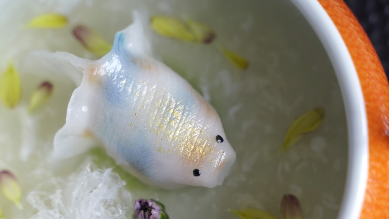 尖沙咀新開海景粵菜館「麒天」   出示指定門票票尾全單85折／免費送點心／XO醬蒜蓉牛角包／赤玉帆立貝魚凍／鳳尾龍蝦金魚餃