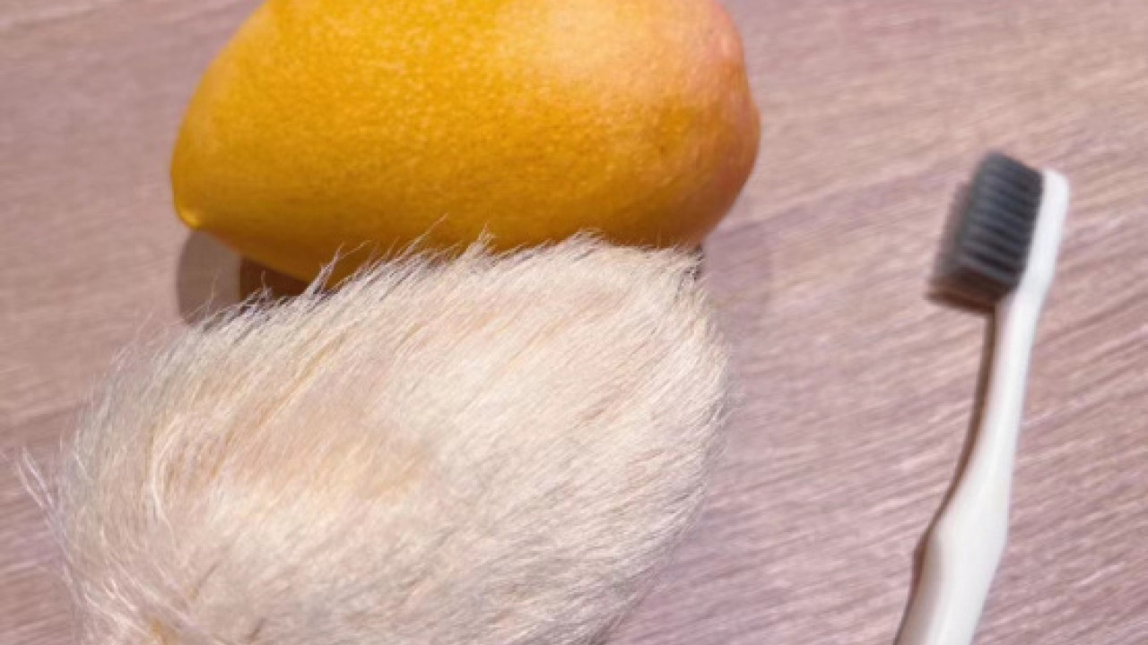 「養芒果核」成內地青年新熱潮 寫成長日記／每日梳毛如飼養貓狗