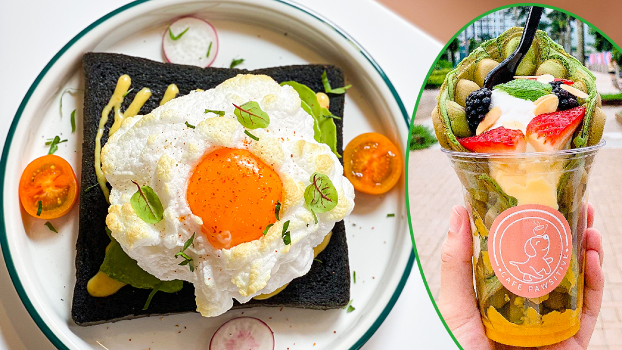 西貢新開寵物友善打卡橘橙色主題Cafe　雪糕雞蛋仔／流心雲朵多士／手工意粉