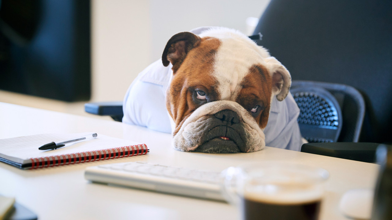 夜貓族必看！中醫詳解肝火旺症狀及原因 護肝方法／養生茶飲推介