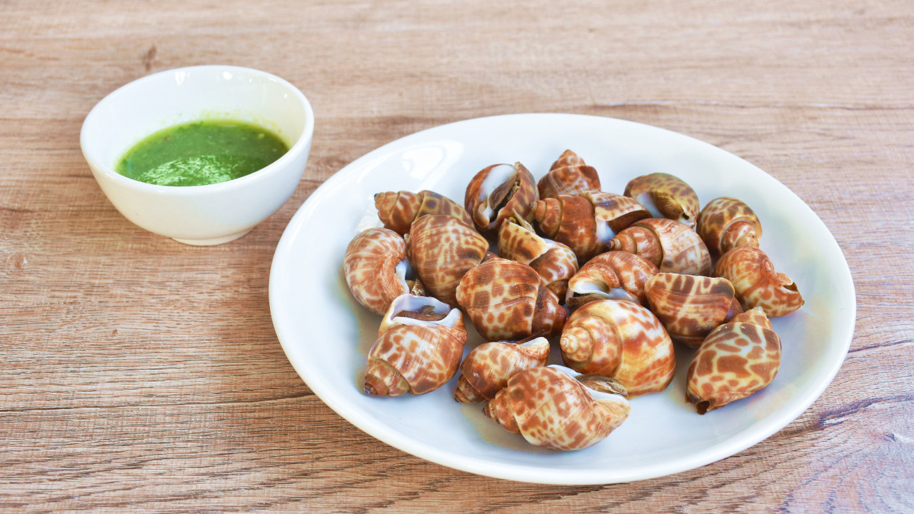 1男1女食蒸角螺後嘔吐和腹瀉　衞生防護中心：懷疑神經性貝類毒素中毒