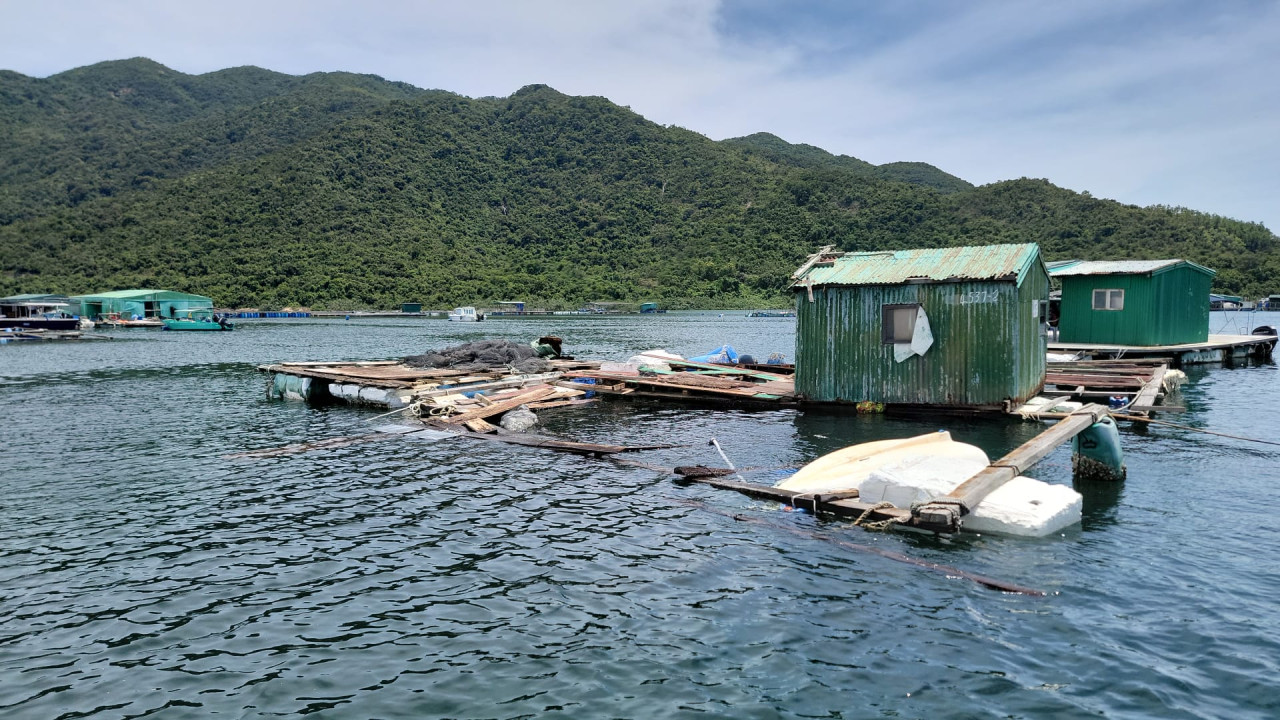 受颱風蘇拉嚴重影響！漁護處發放緊急救援基金 2類本地合資格人士9月起可申請