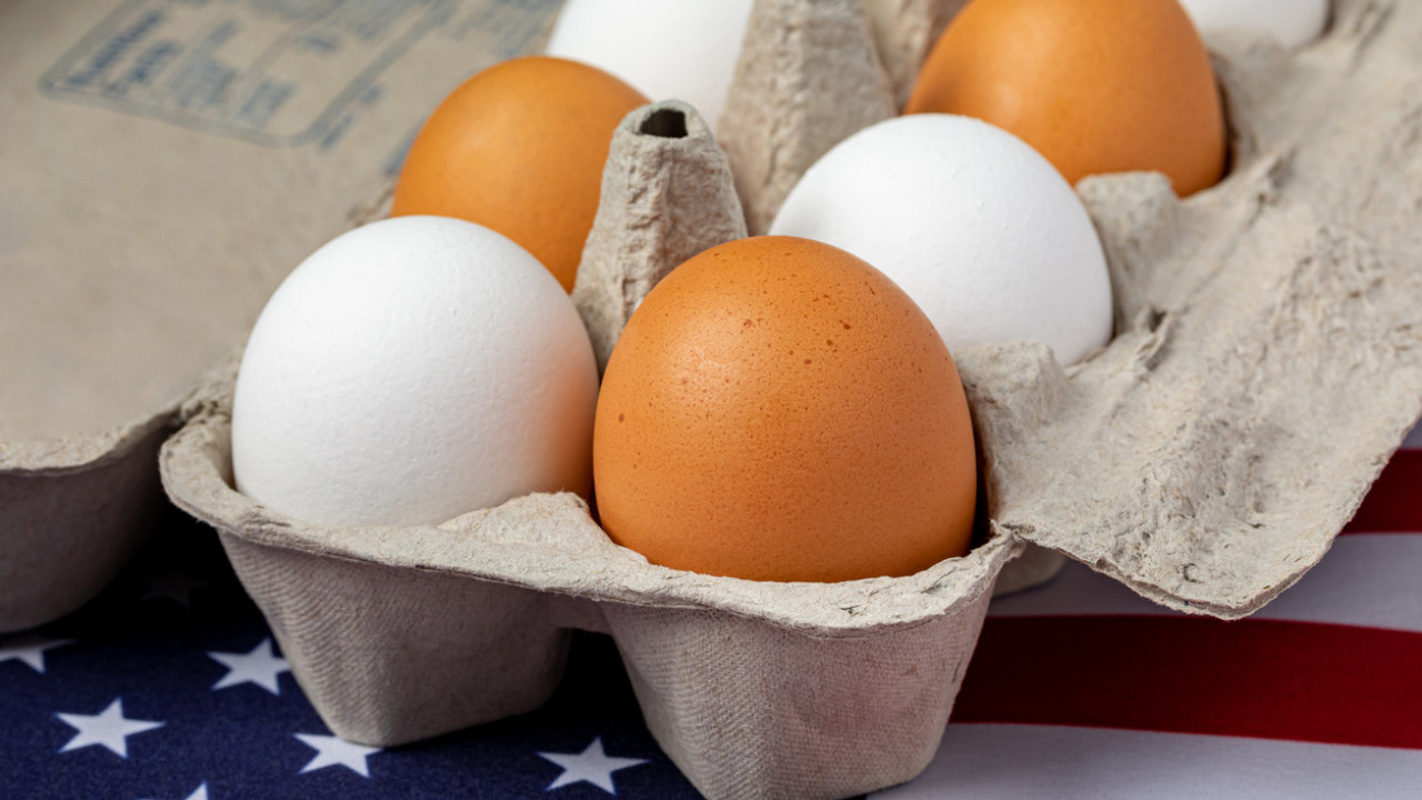 啡蛋、白蛋營養有什麼分別？吃生蛋會禿頭？ 營養師拆解3大雞蛋迷思