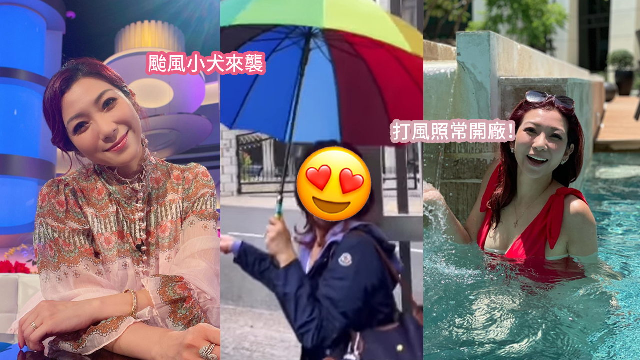 颱風小犬｜朱凱婷9號風球主持《東張西望》！狂風下面不改容！網民大讚：超敬業！