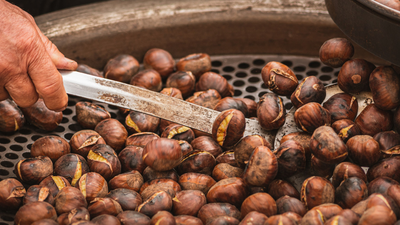 栗子加熱咬開即爆炸噴白煙 女子嘴上炸出水泡超痛難張口