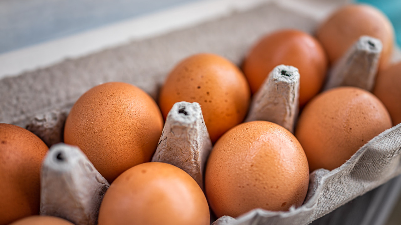 美國爆發高致病性H5N1禽流感 本港禁止進口2縣禽肉禽蛋