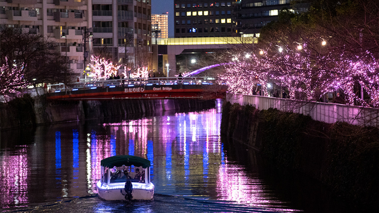 東京目黑川冬季限定另類「夜櫻」登場！ 38萬顆粉紅色LED燈海遍佈河道兩旁