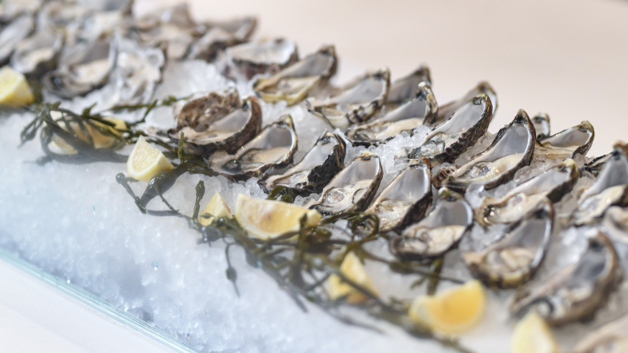 旺角康得思酒店推出全新週末「蠔」宴下午茶自助餐   生蠔／海鮮拼盤／刺身拼盤／甜品