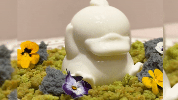 全港首創！銅鑼灣Check In Taipei 新出打卡動L傻鴨奶凍　震騰騰傻鴨造型椰香奶凍