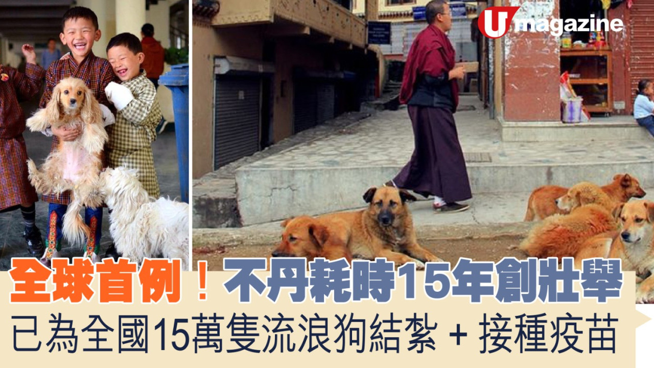 全球首例！不丹耗時15年創壯舉  已為全國15萬隻流浪狗結紮+接種疫苗